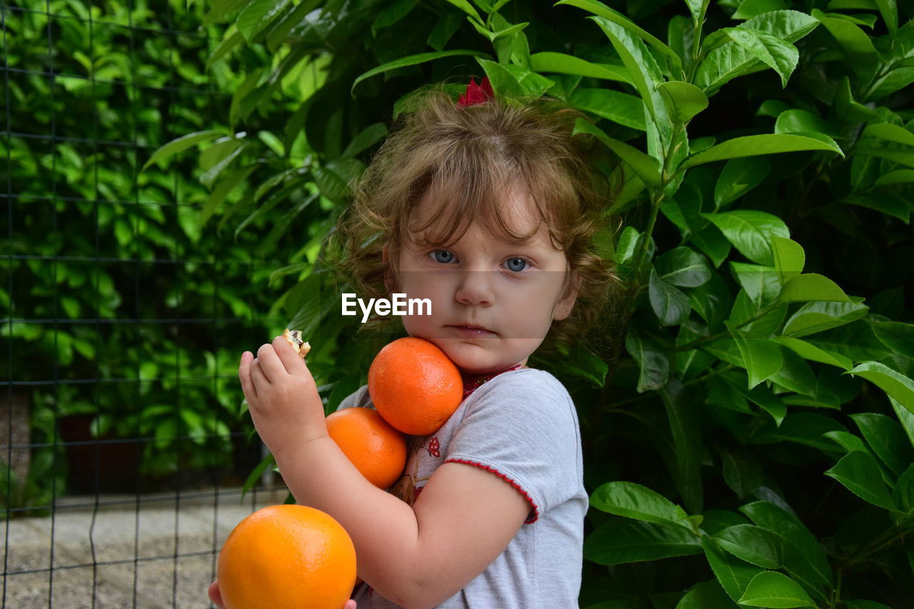 Portrait of cute girl holding oranges by plants