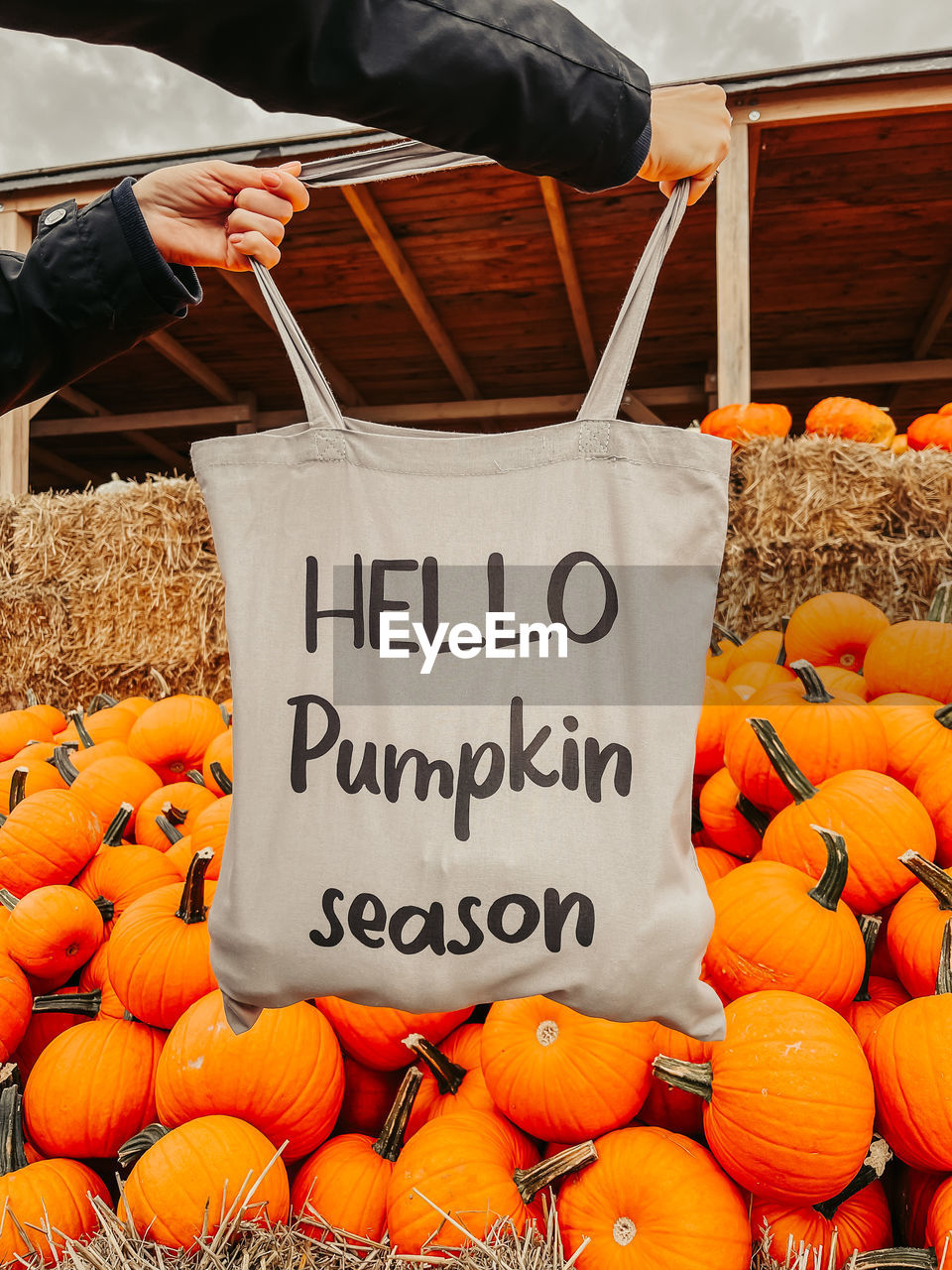 VIEW OF PUMPKINS FOR SALE IN MARKET