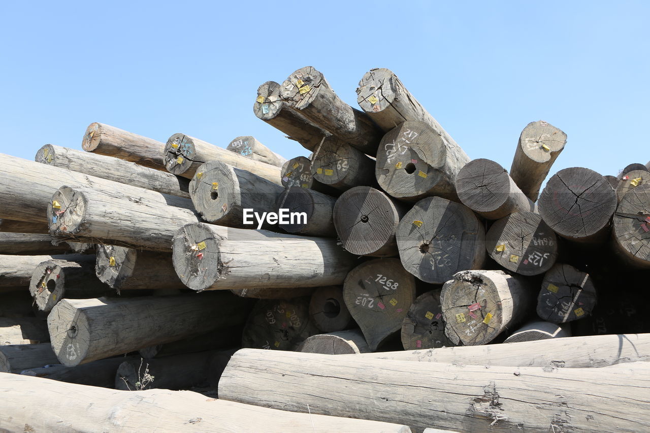 LOW ANGLE VIEW OF STACK OF LOGS AGAINST SKY