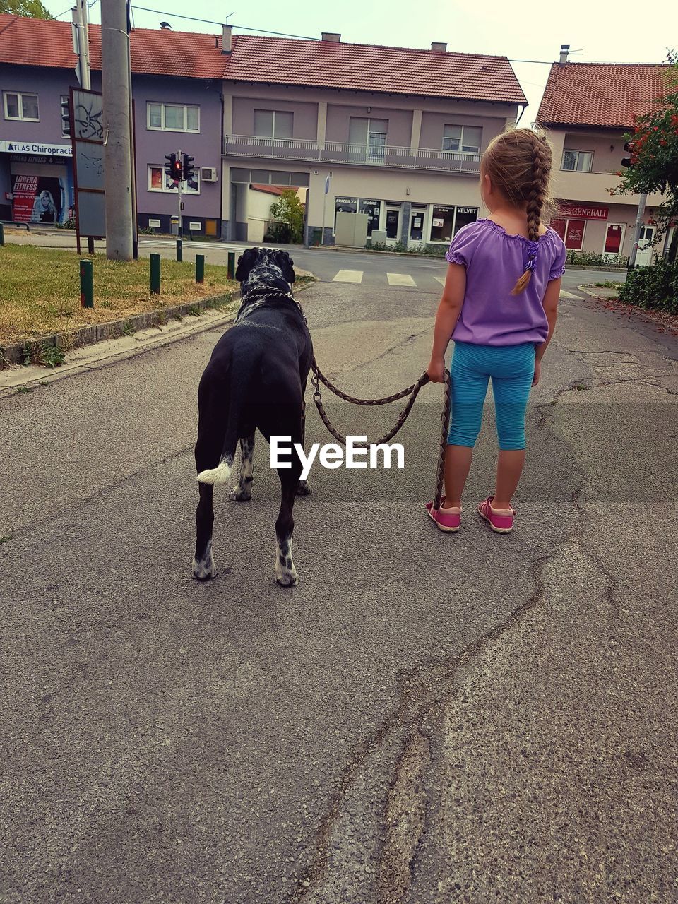 REAR VIEW OF BOY RIDING HORSE WITH DOG