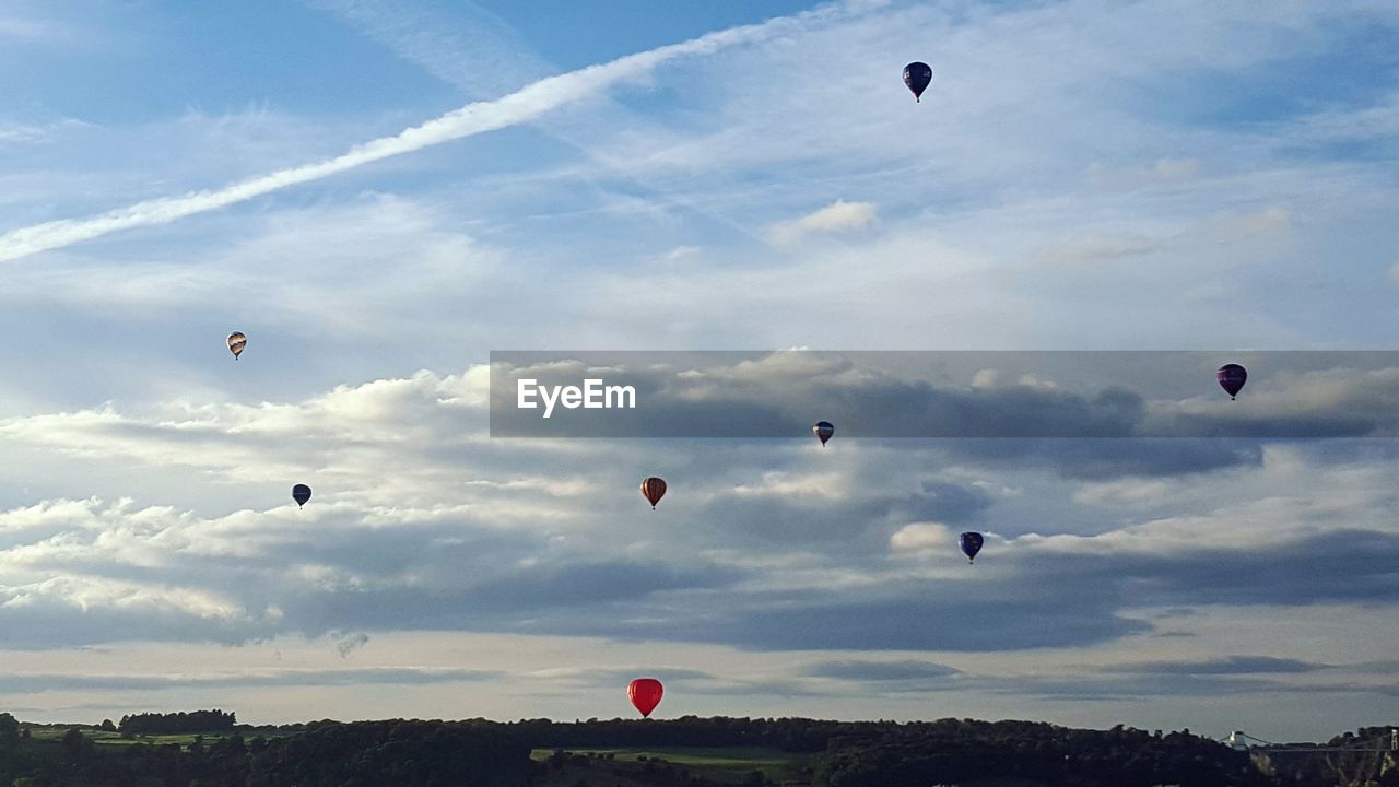 KITES FLYING OVER LANDSCAPE