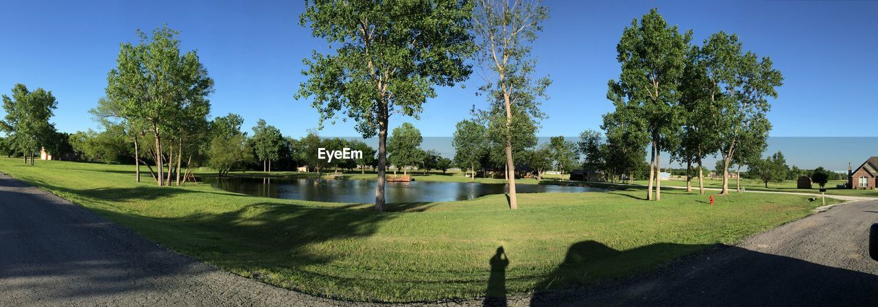 Pond in park