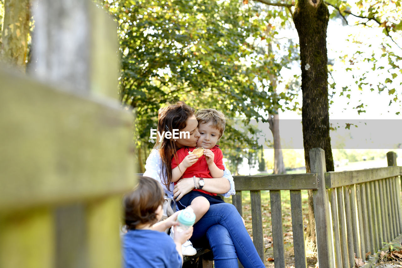 Rear view of smiling girl sitting on tree