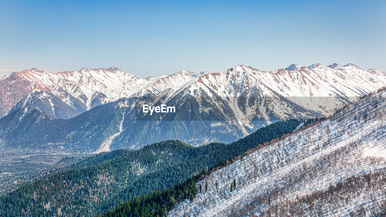 Mountain snowy forest landscape