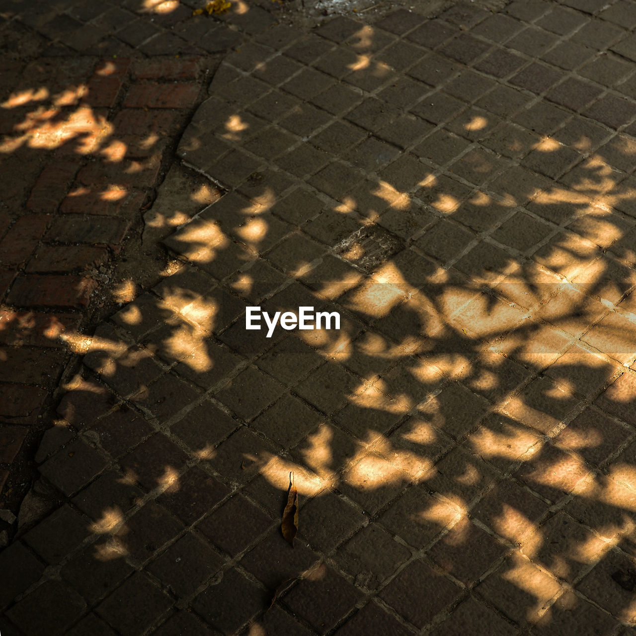 HIGH ANGLE VIEW OF FENCE SHADOW ON FLOOR