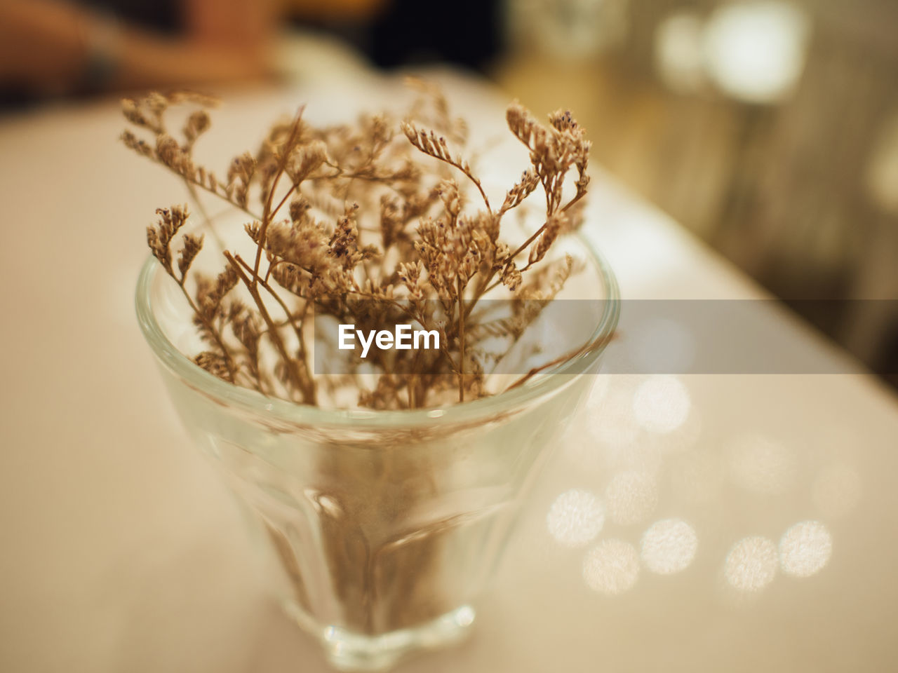 Close-up of dried flowers in glass on table