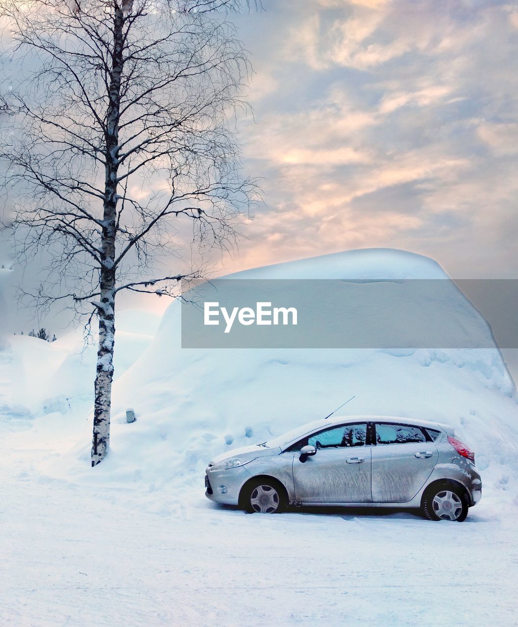 CAR ON SNOW COVERED BARE TREE