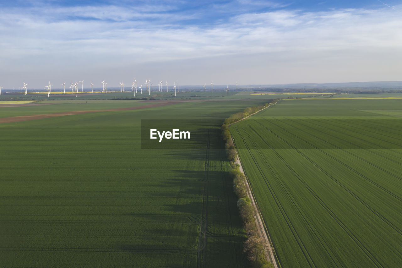 Germany, saxony-anhalt, aerial view of fields with wind farm in background