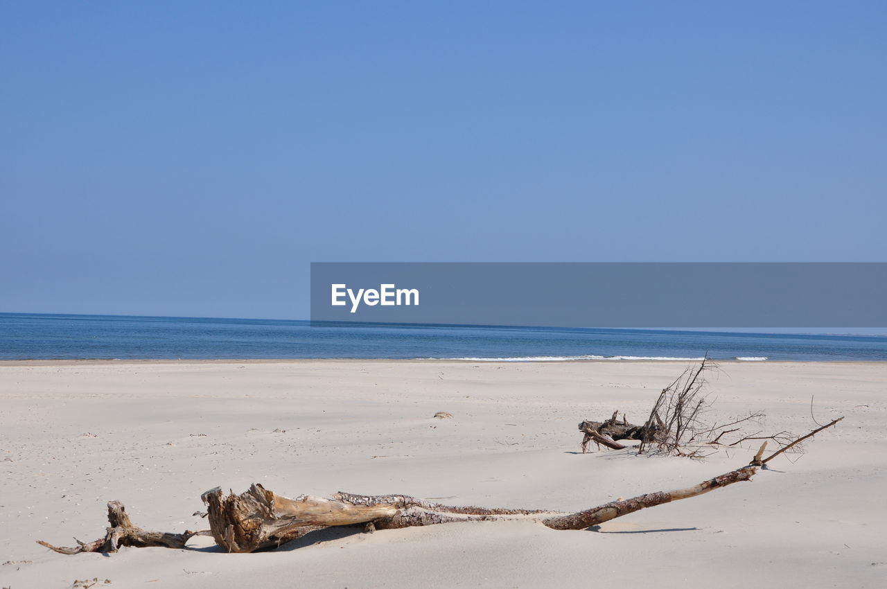 Scenic view of beach against clear blue sky