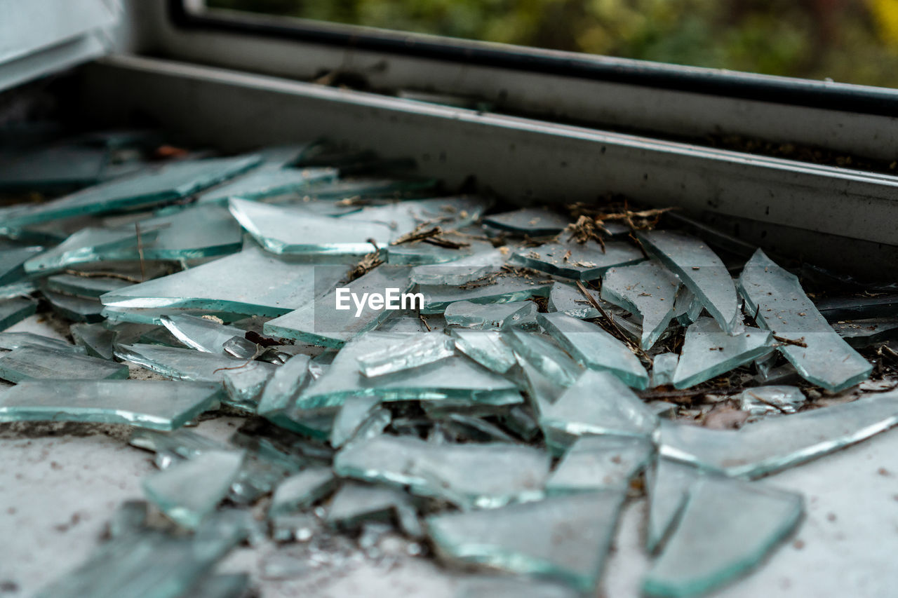 CLOSE-UP OF FISH ON FLOOR