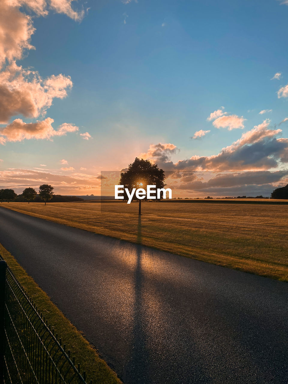 Scenic view of agricultural field against sky during sunset