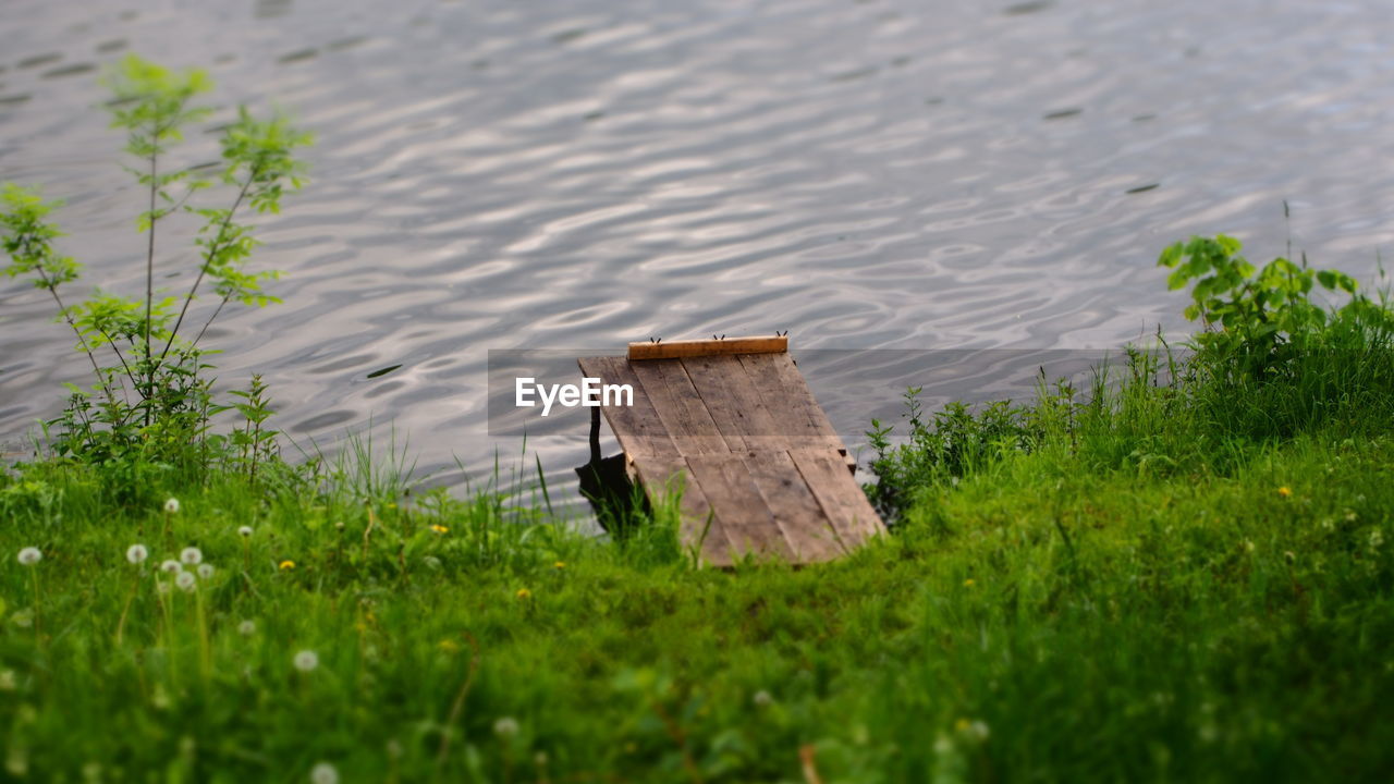 High angle view of grass by lake