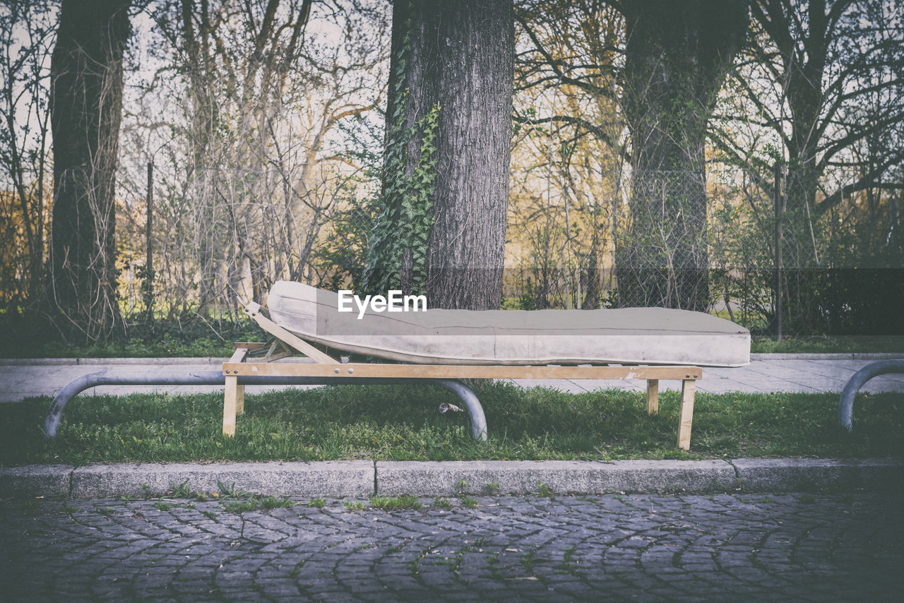 EMPTY BENCH IN PARK