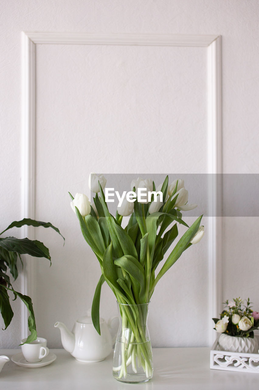 Potted plant on table at home