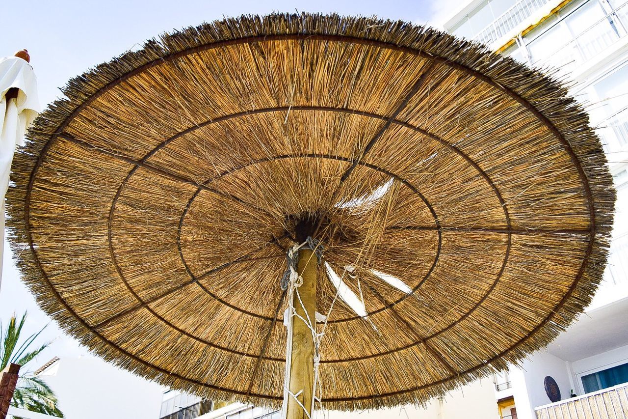 LOW ANGLE VIEW OF TREE AGAINST THE SKY