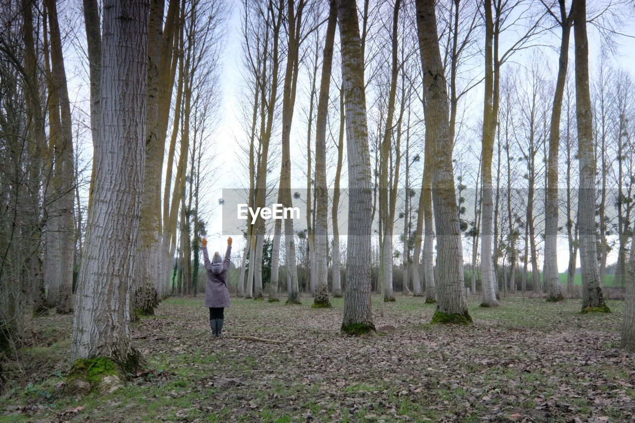 Rear view of woman standing in forest