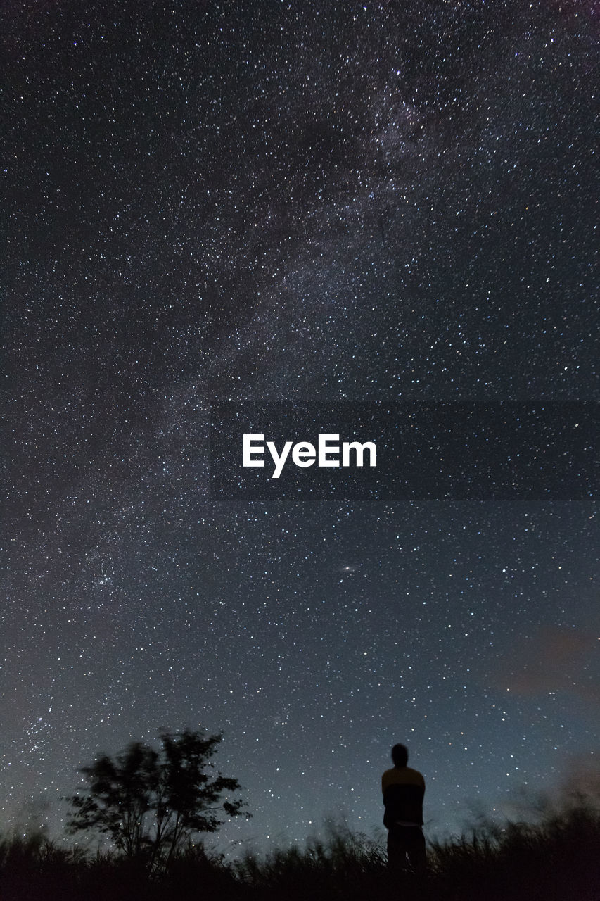 LOW ANGLE VIEW OF SILHOUETTE TREES AGAINST STAR FIELD