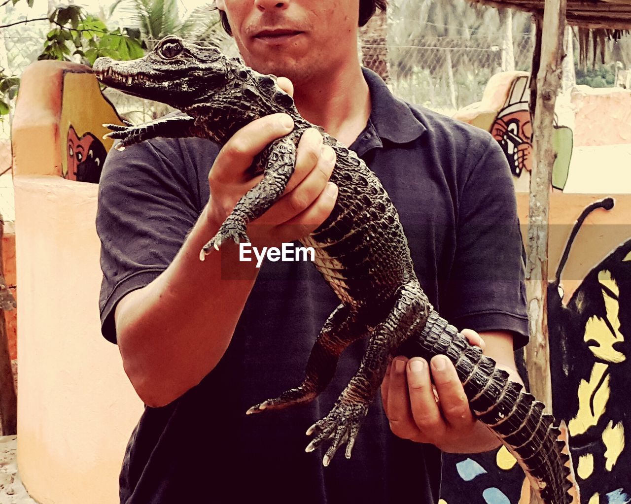 Man holding crocodile