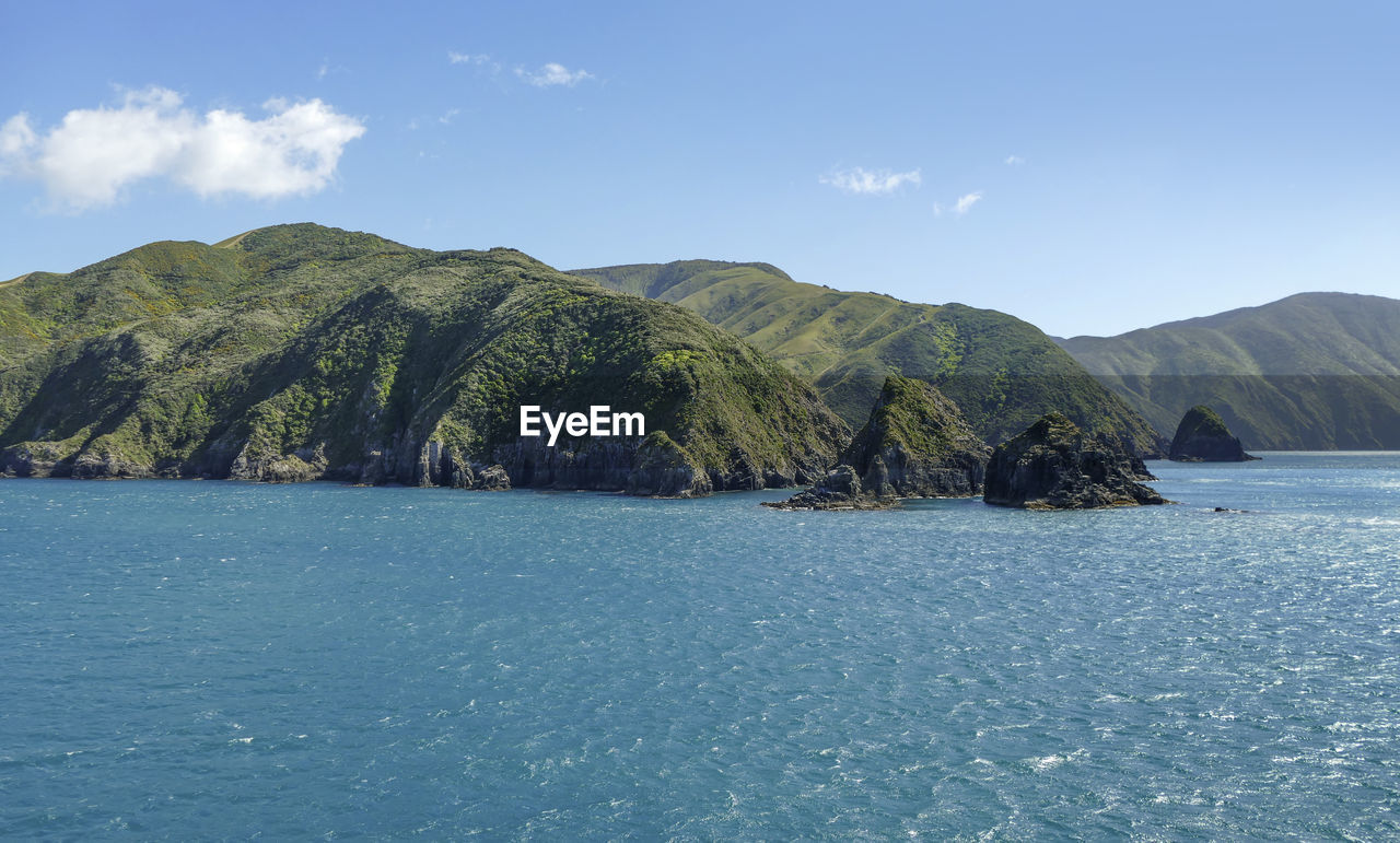 Coastal impression at queen charlotte sound in new zealand