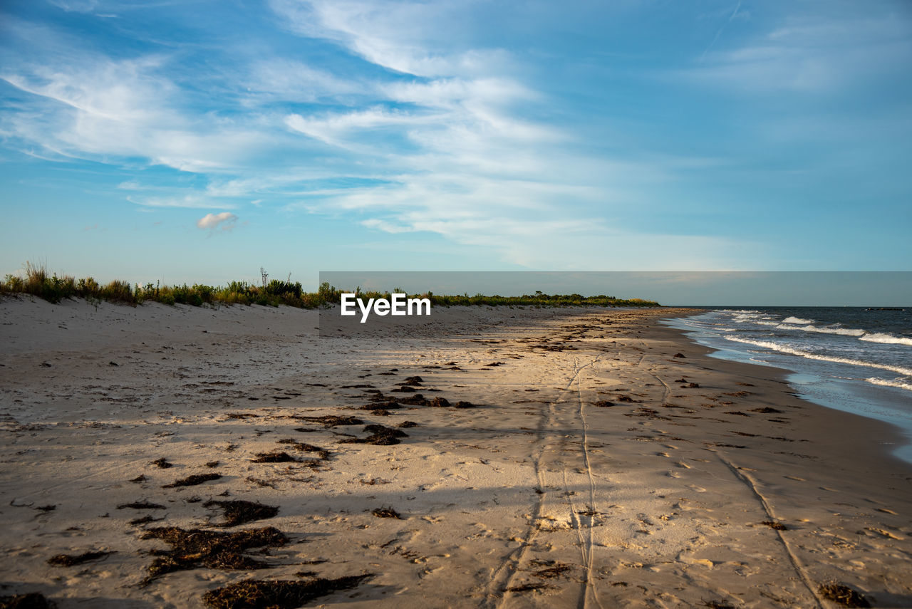 SCENIC VIEW OF BEACH