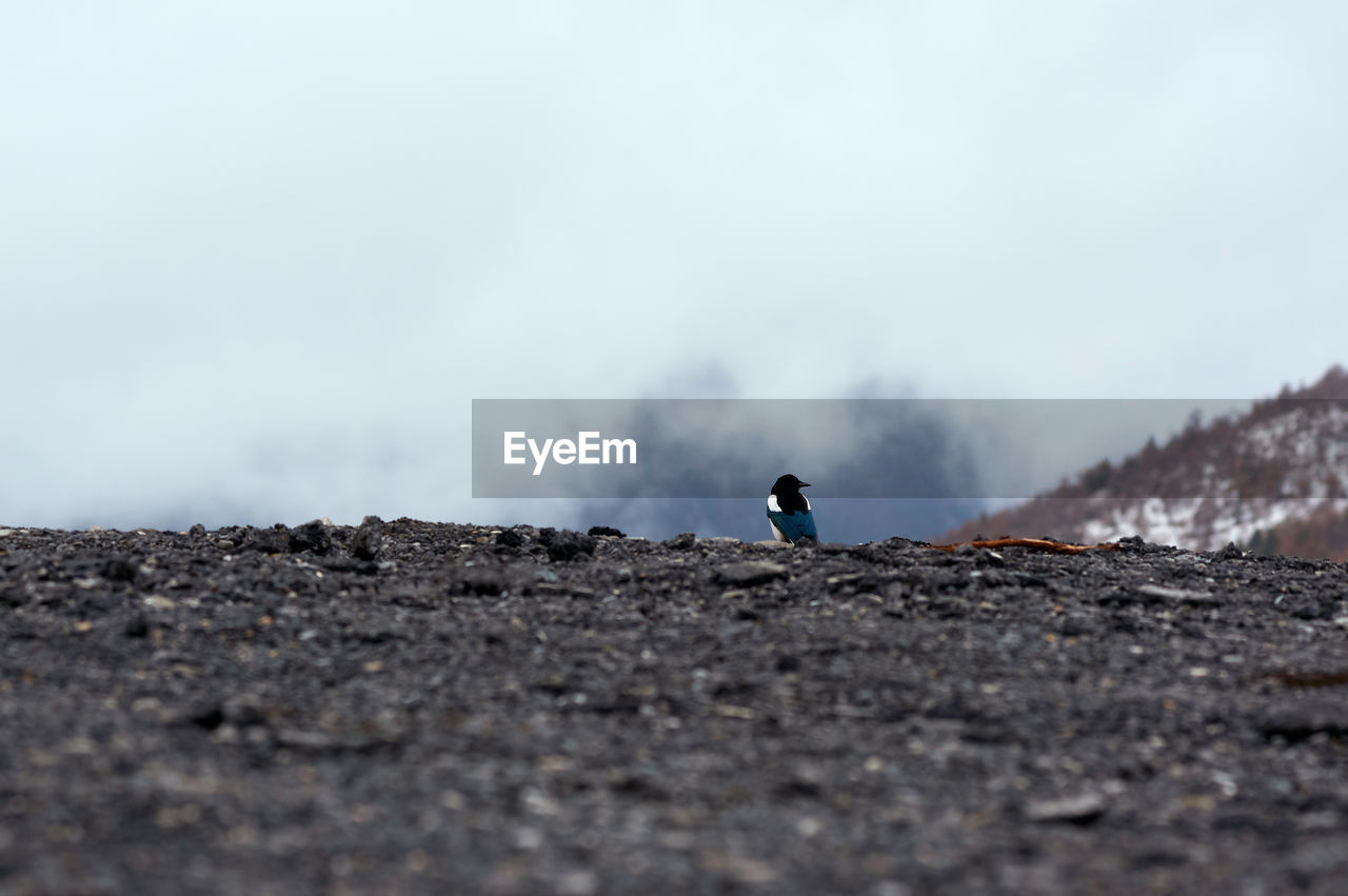 SURFACE LEVEL OF LAND AGAINST SKY