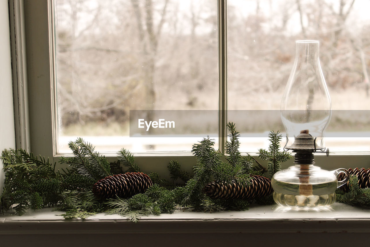 VIEW OF TREES IN WINDOW SILL