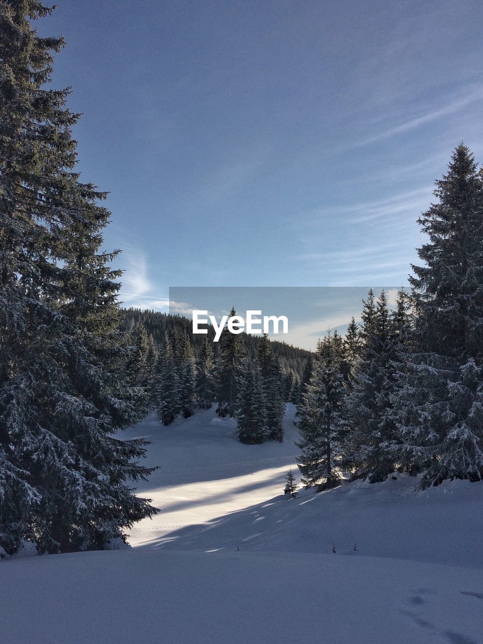 SNOW COVERED LANDSCAPE AGAINST SKY