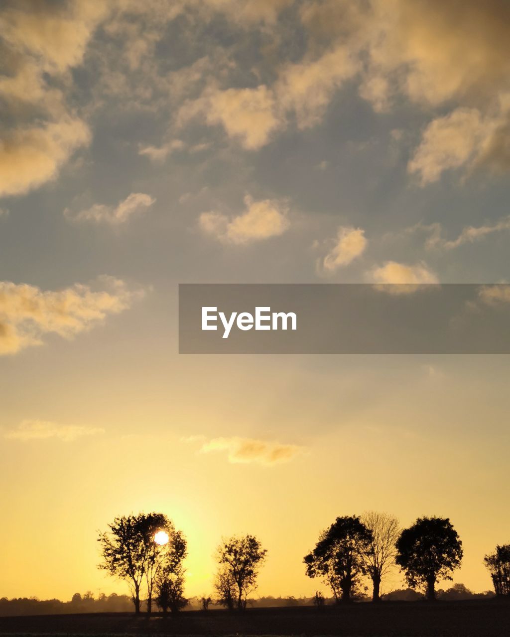 LOW ANGLE VIEW OF SILHOUETTE TREES DURING SUNSET