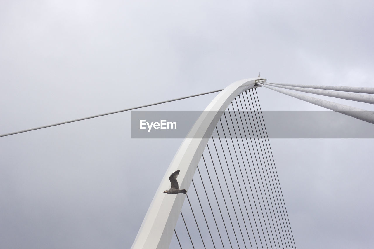 Low angle view of bird flying by suspension bridge against sky