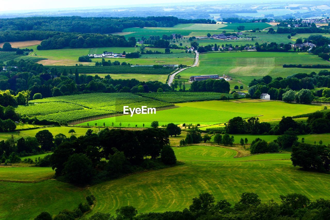 SCENIC VIEW OF AGRICULTURAL FIELD AGAINST HOUSES