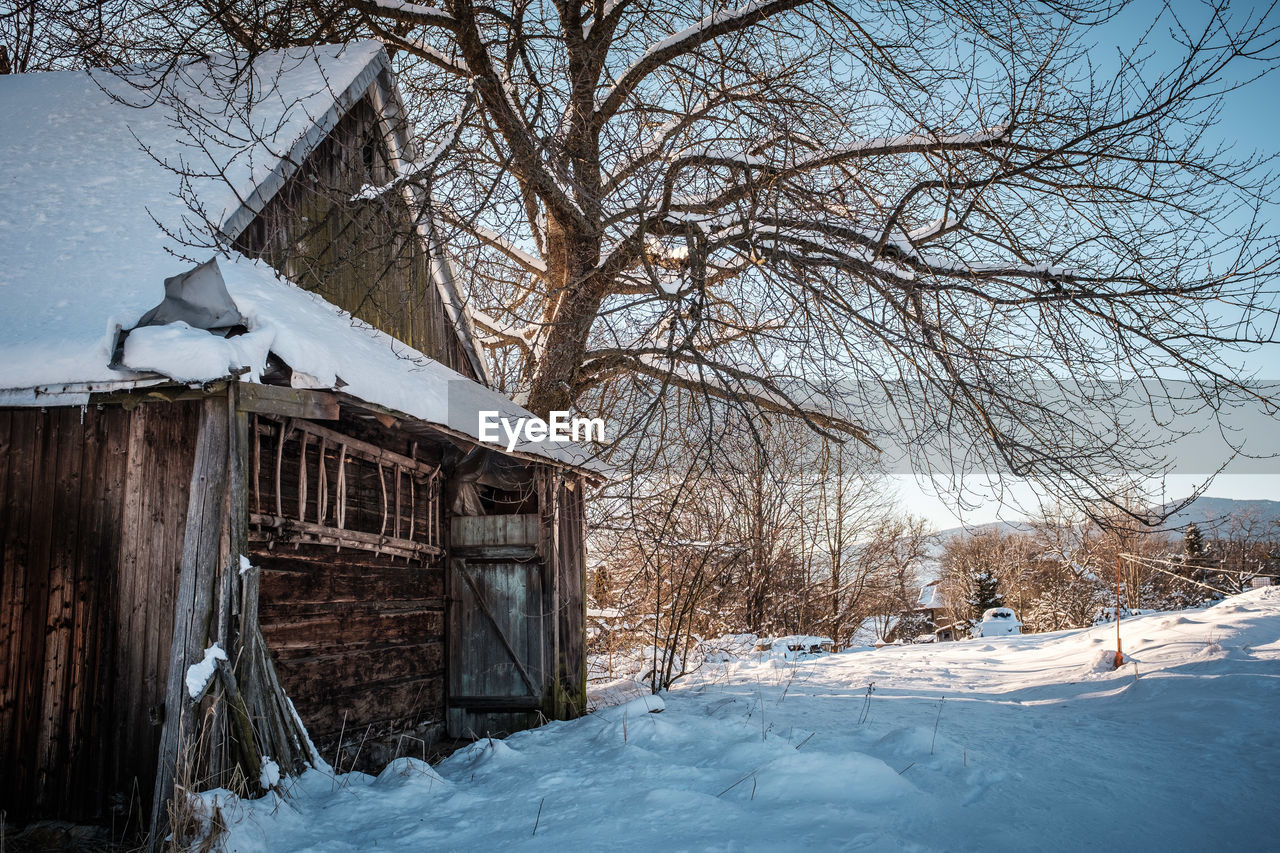 SNOW COVERED BARE TREES BY BUILDING AGAINST SKY