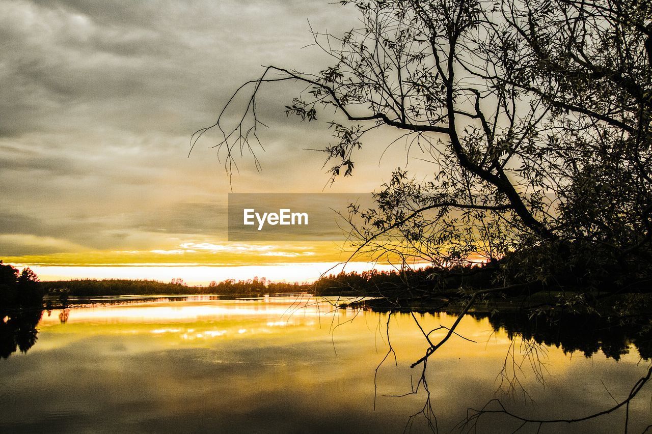 SILHOUETTE OF TREES AT LAKE DURING SUNSET