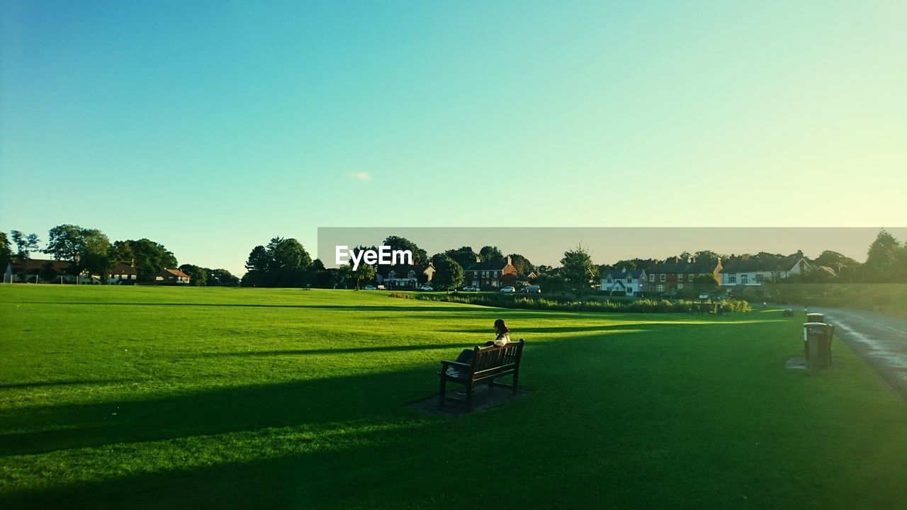 Scenic view of field against clear sky