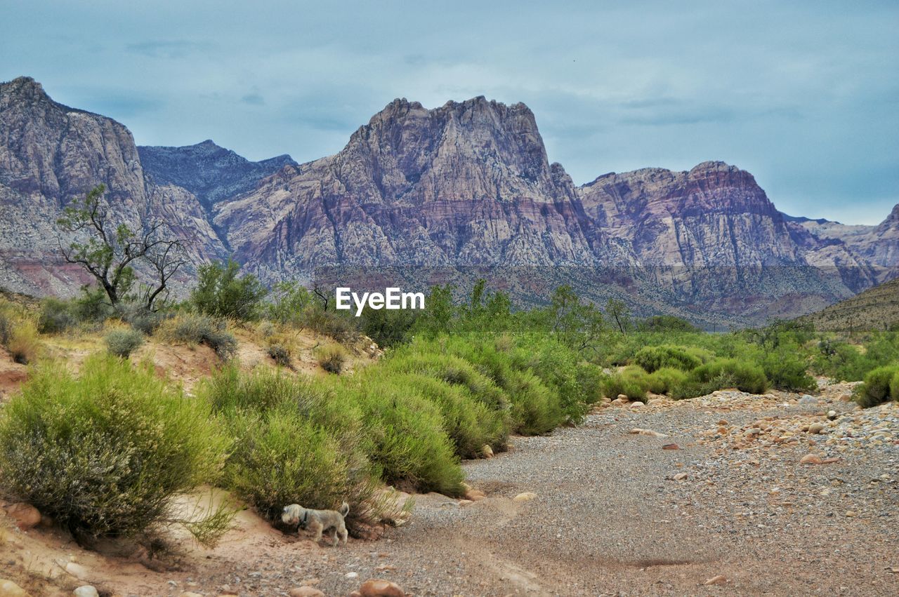 Scenic view of field and mountains against sky