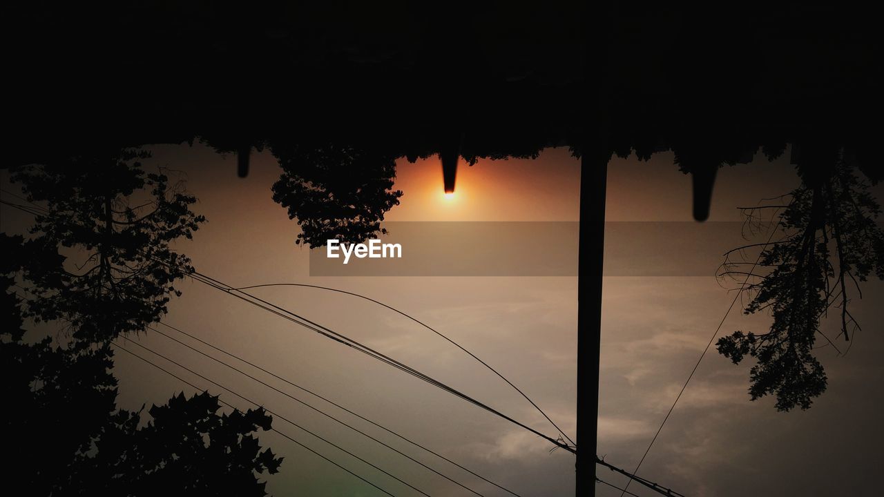 SILHOUETTE OF TREES AT SUNSET