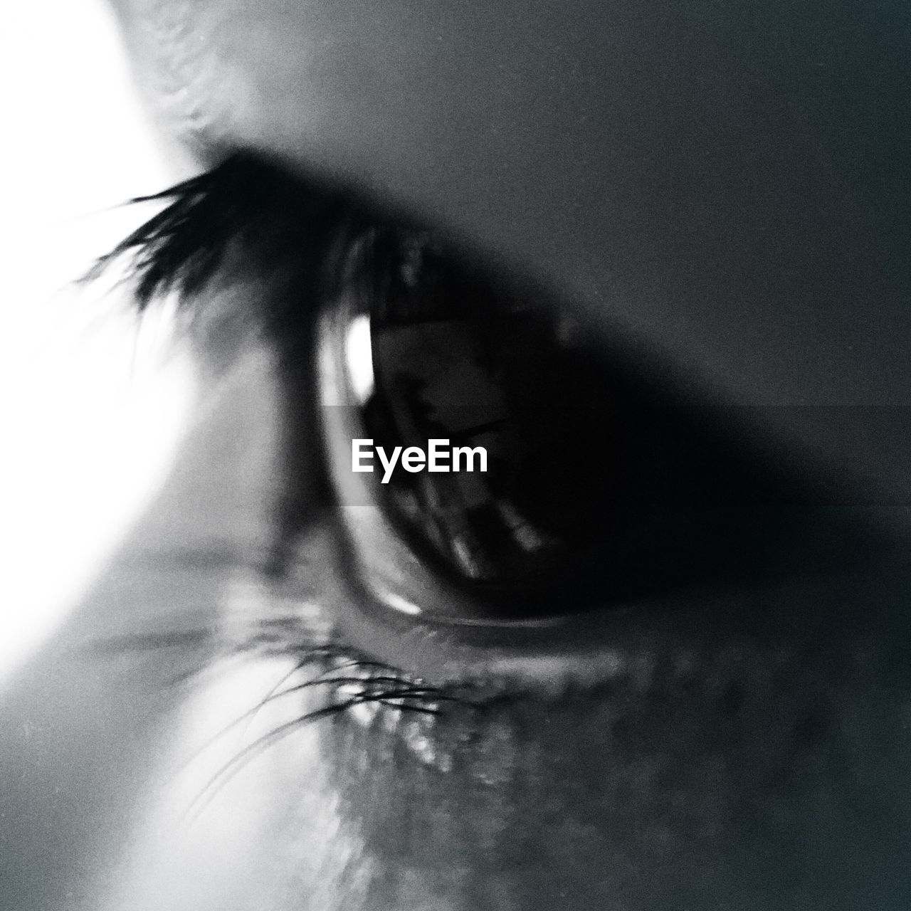 Close-up of person eye