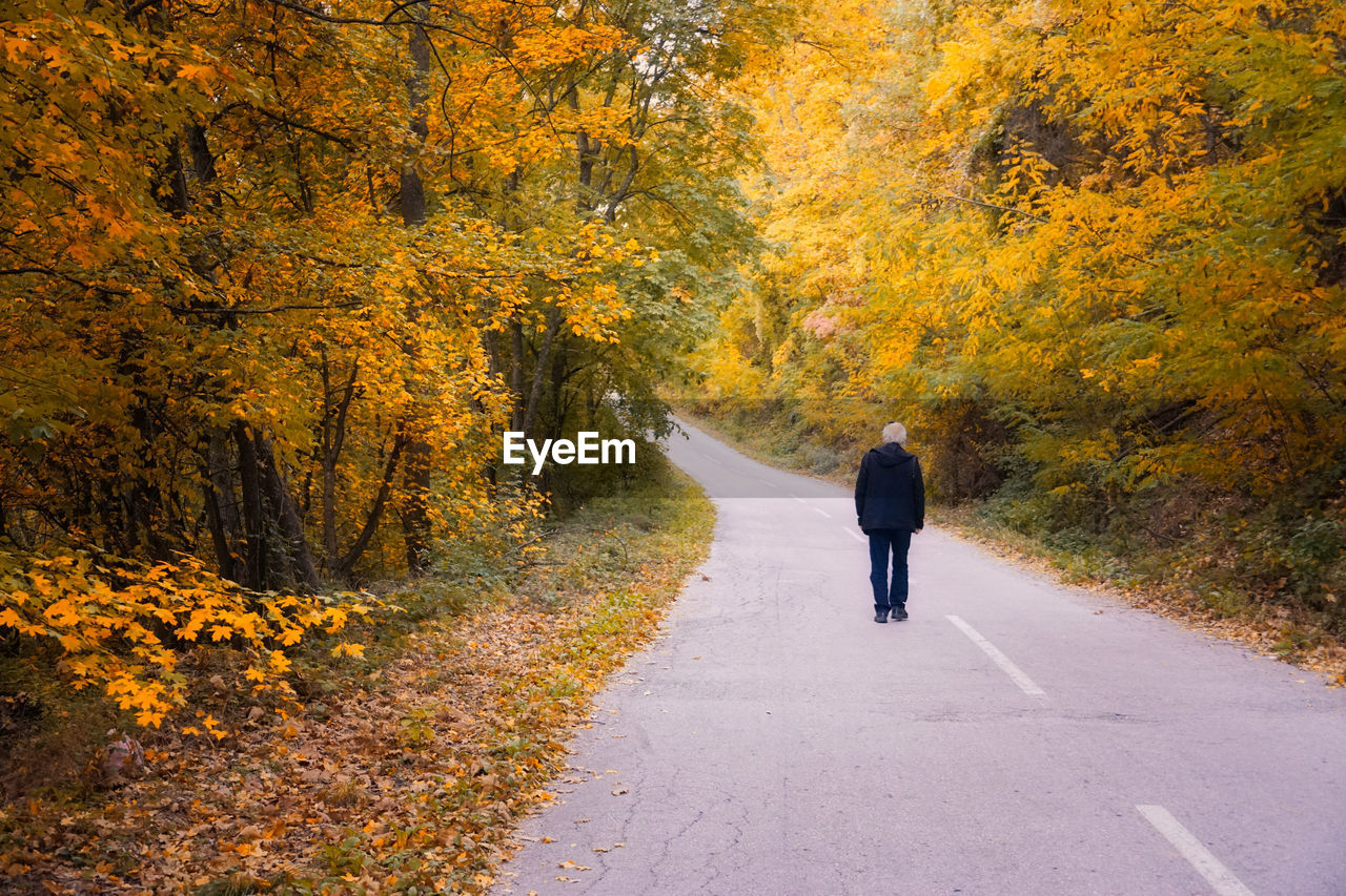 Rear view of senior man  walking on road in the autumn environment