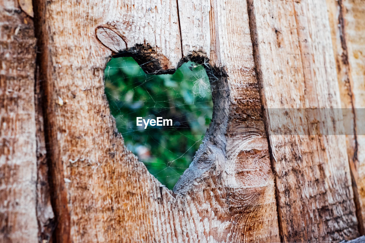 Spider web on wooden heart shape fence