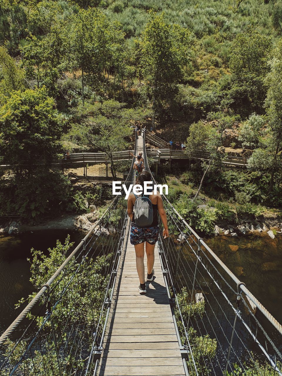 Rear view of women on footbridge in forest