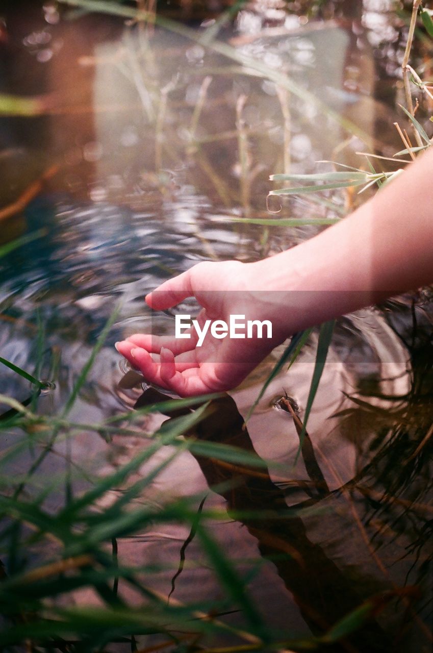 Cropped hand of woman in lake