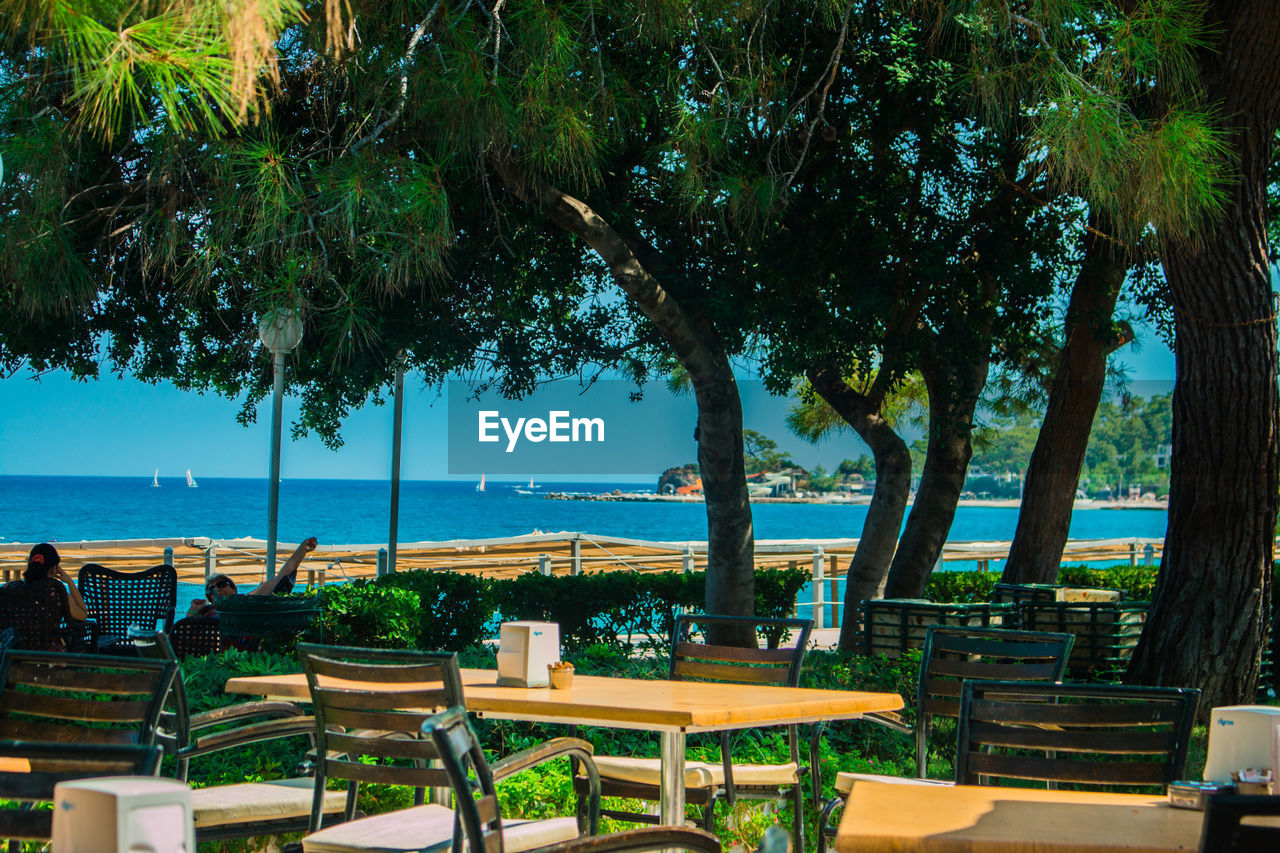 CHAIRS AND TABLE BY SWIMMING POOL BY TREE