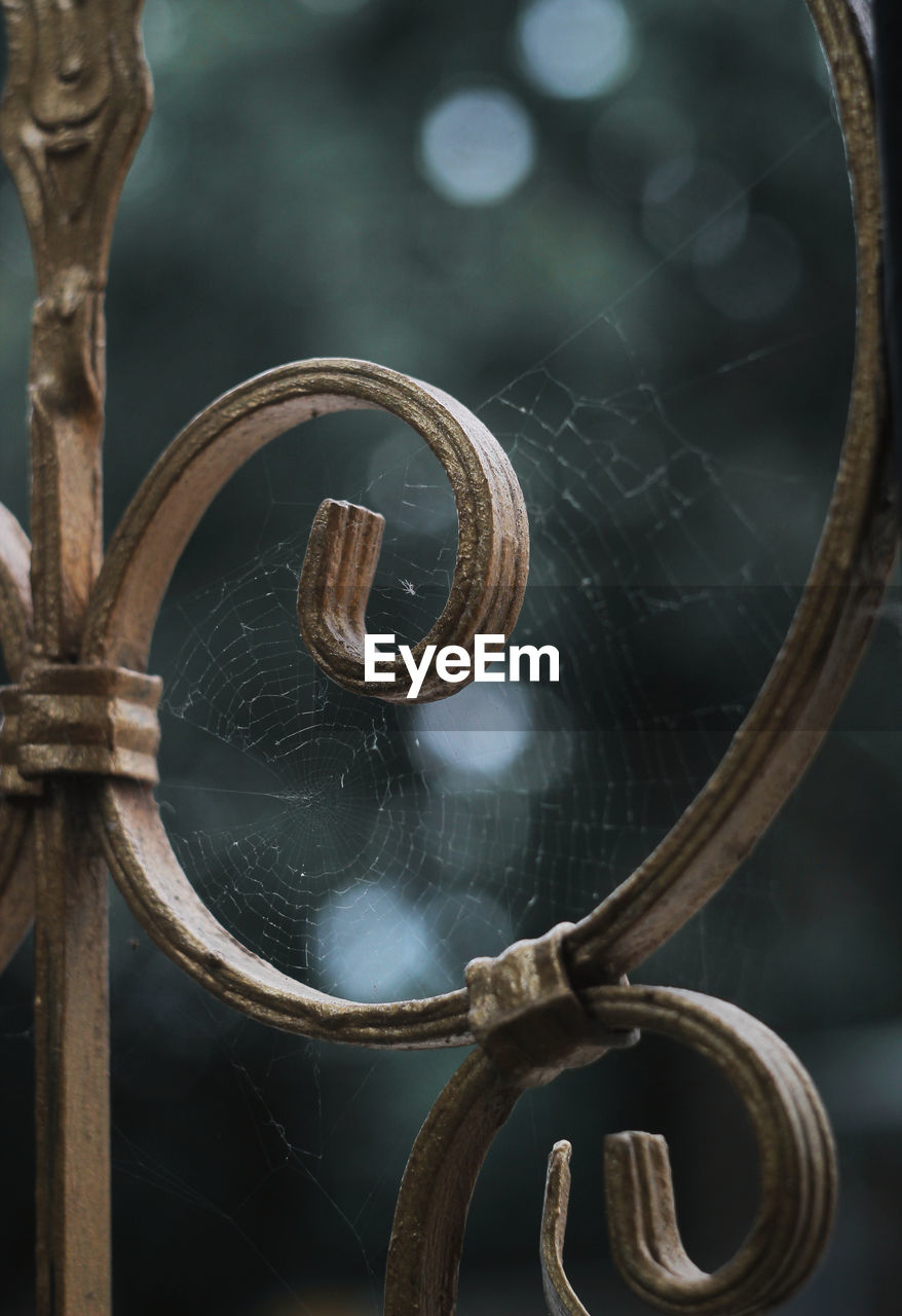 Close-up of spider web on metal