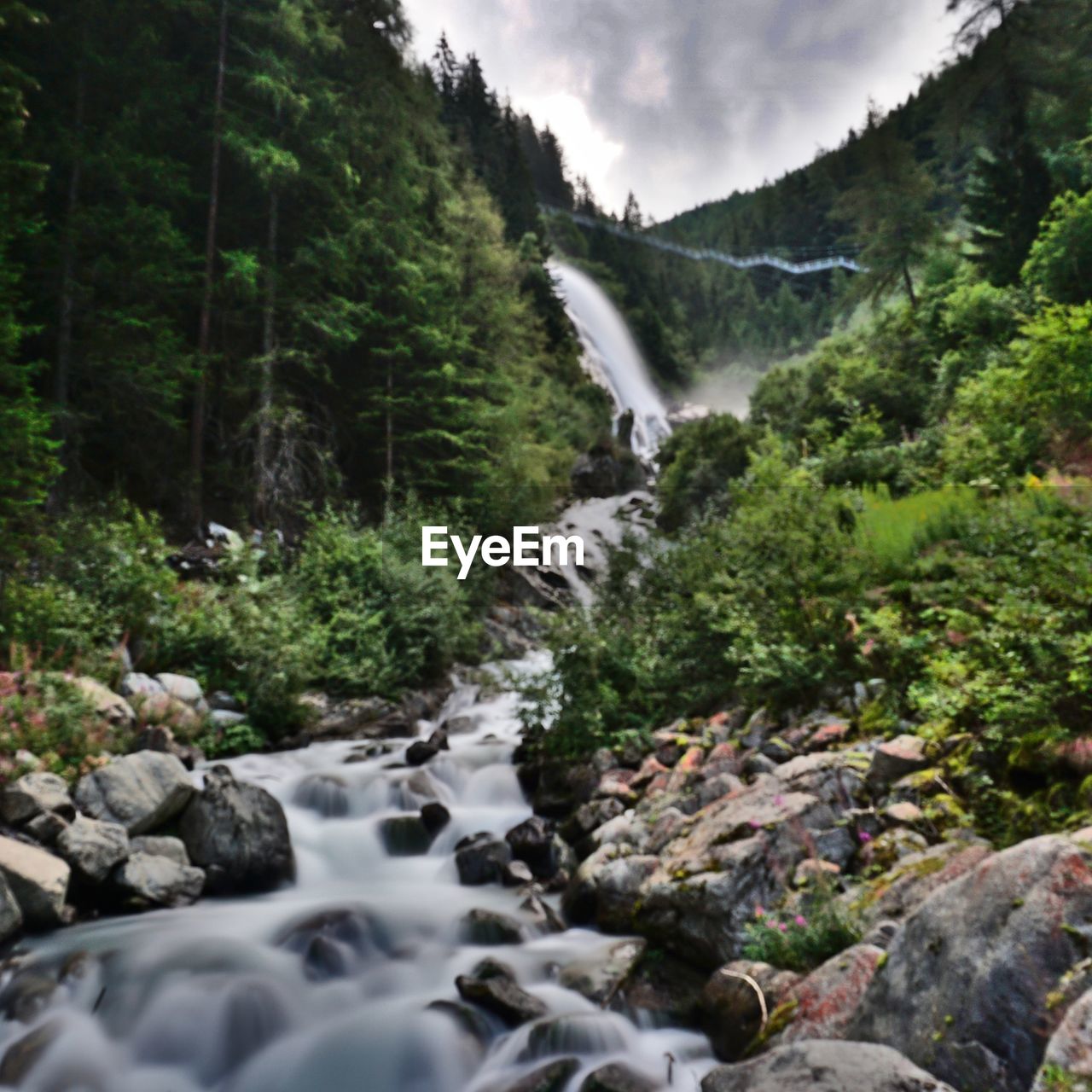 Stream flowing through rocks in forest