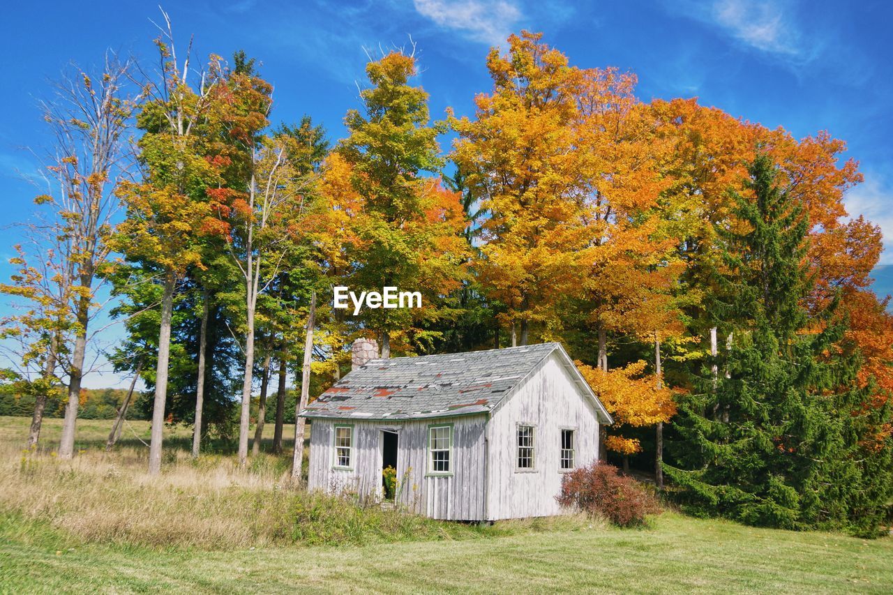 Abandoned house amidst trees and buildings against sky during autumn