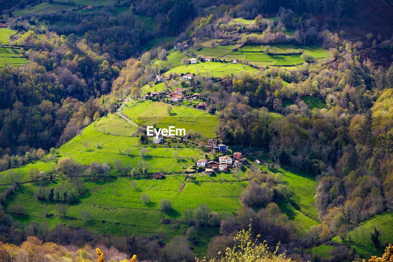 high angle view of trees on landscape