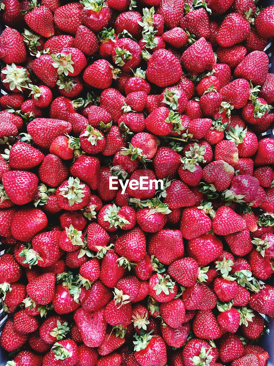 FULL FRAME SHOT OF RED BERRIES