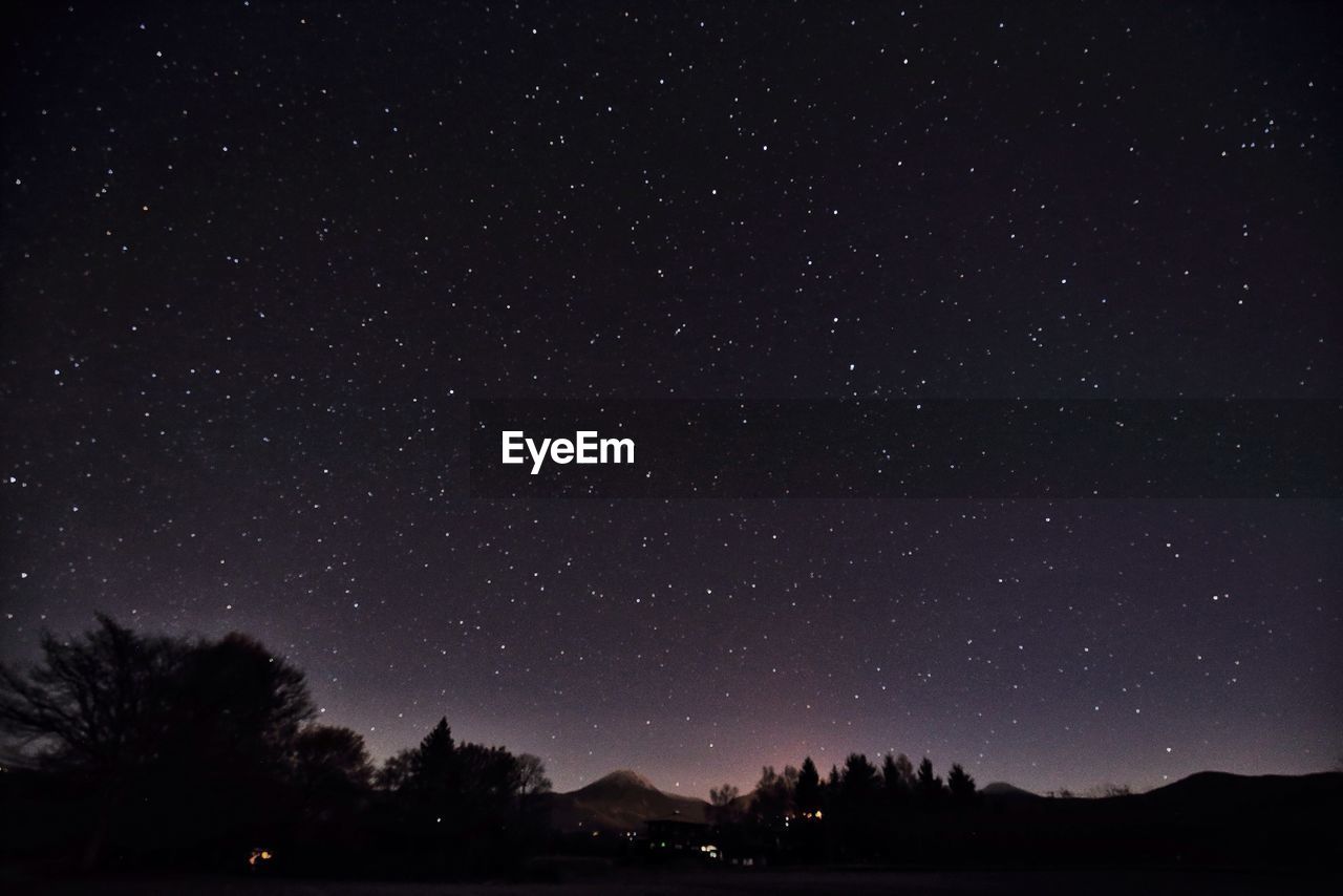 LOW ANGLE VIEW OF SILHOUETTE TREES AGAINST STAR FIELD