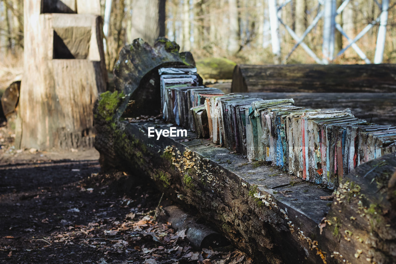 Old books, old books in the forest, forest library