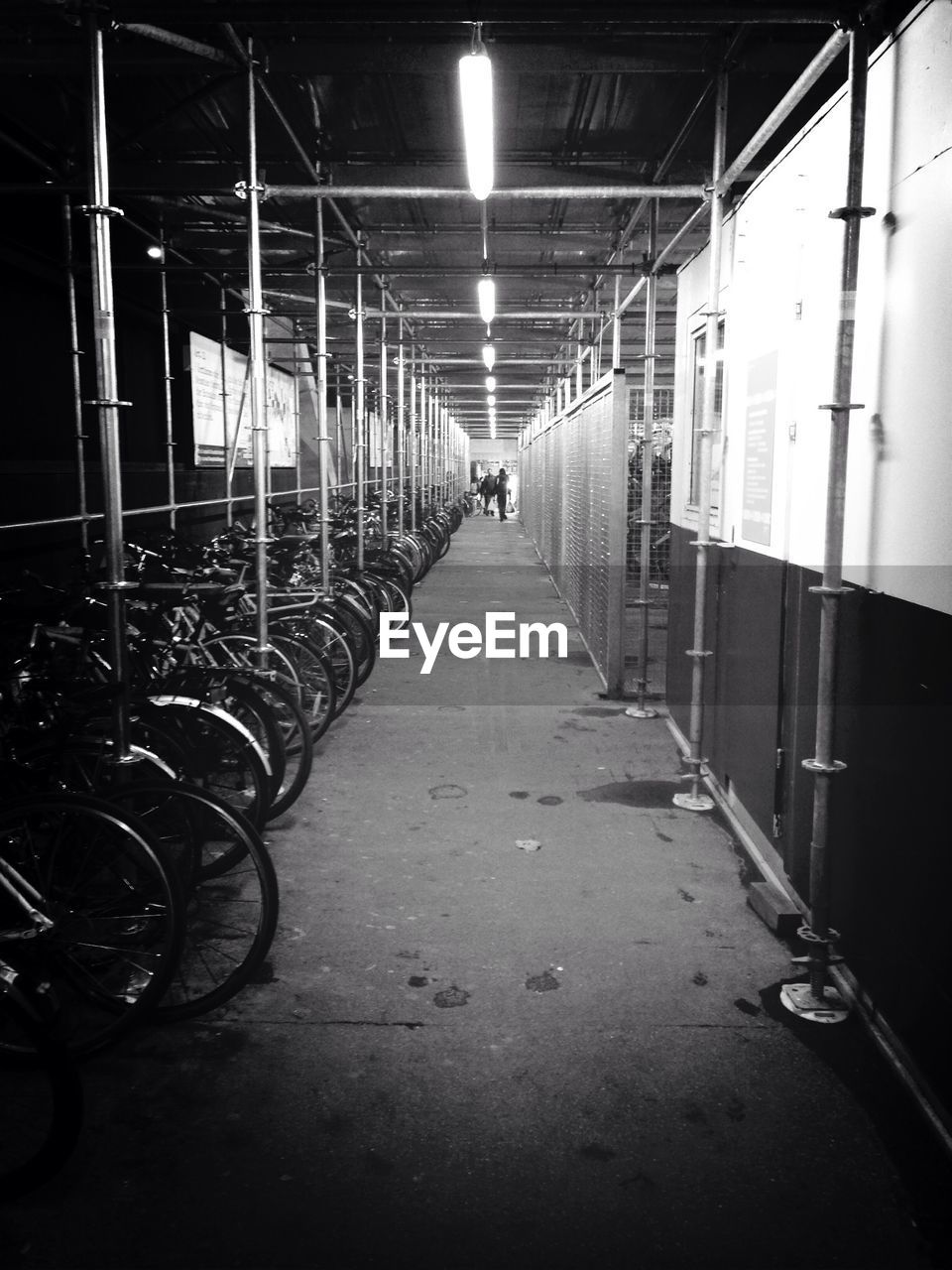 Rows of bicycles parked by passageway