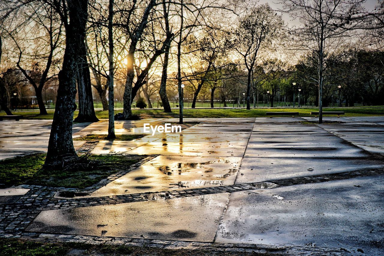 PUDDLE ON ROAD AMIDST TREES AGAINST SKY